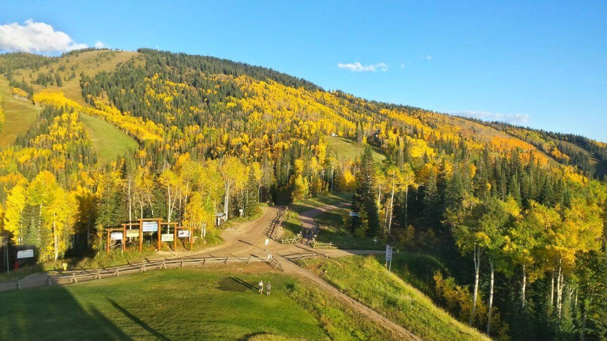 Fall Foliage in Steamboat Springs