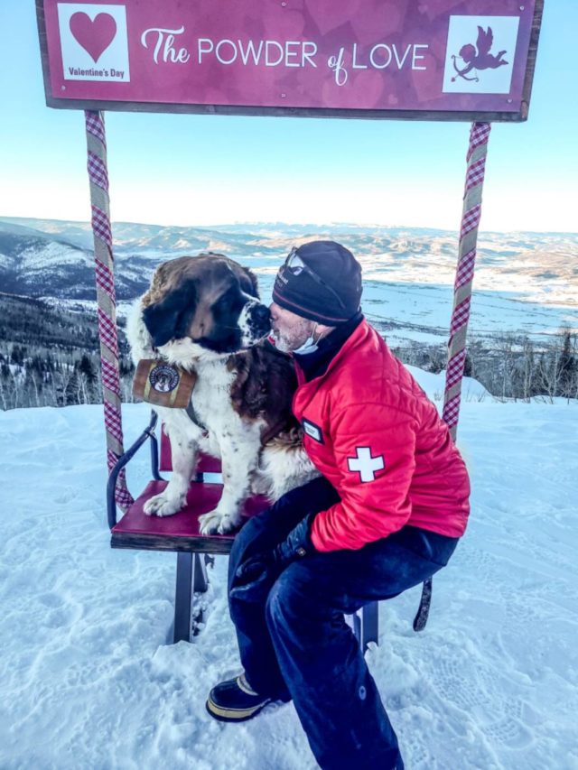 Meet Powder Steamboat's Safety Dog